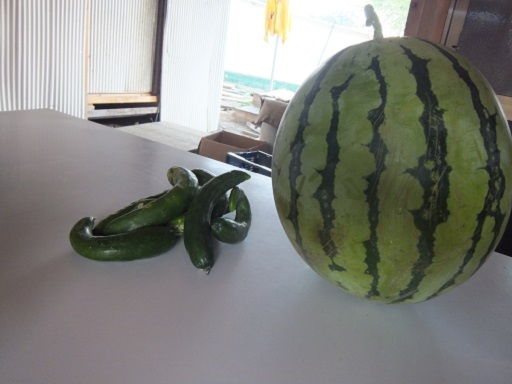 スイカときゅうり.jpg