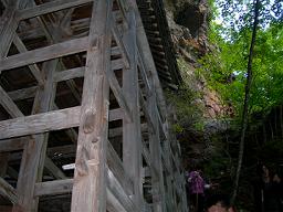 DSCN5868-w256.jpg
