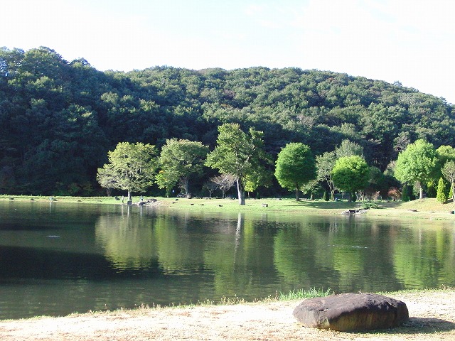 CIMG3789.jpg