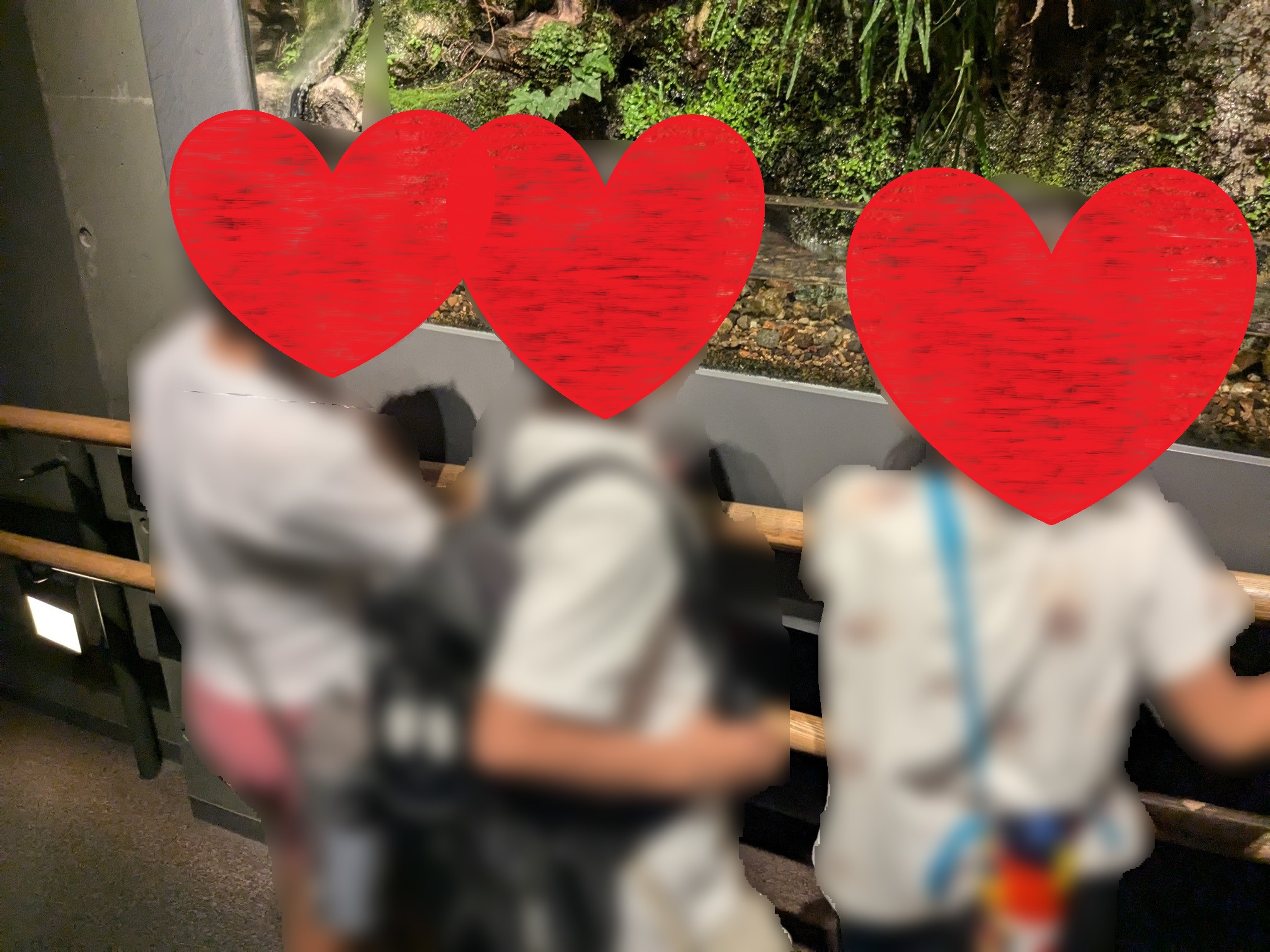 アクアトト岐阜　鑑賞中