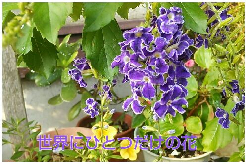 rblog-20161006211443-00.jpg