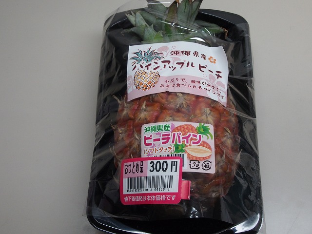 P5041514.jpg