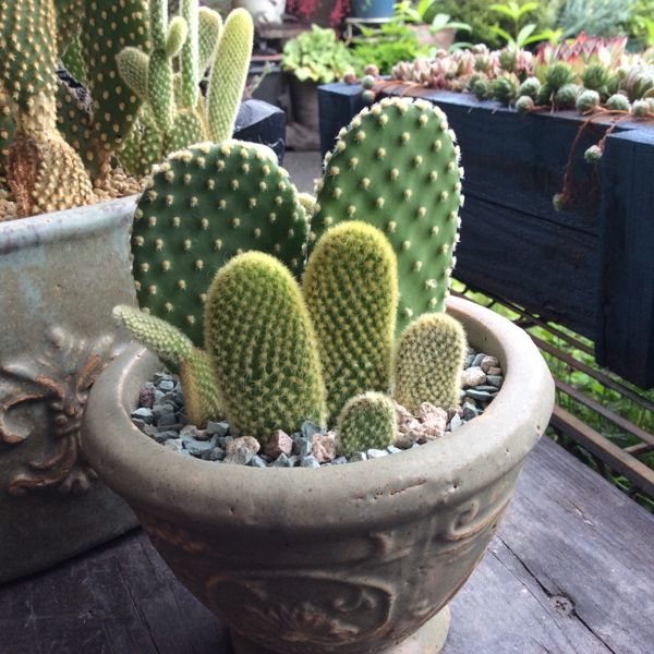 rblog-20140714083008-02.jpg