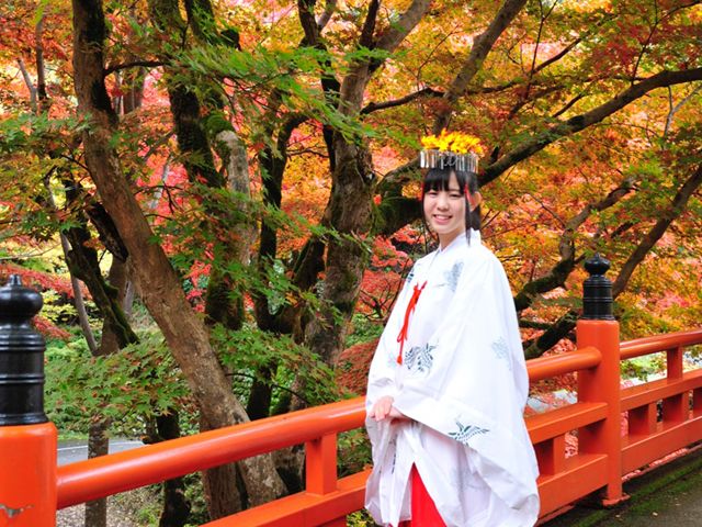 兵庫県の紅葉名所の一つ やぶ紅葉祭り平成29年11月11日 土 23日 木 兵庫県 山陰湯村温泉 湧泉の宿 ゆあむ のブログ 楽天ブログ