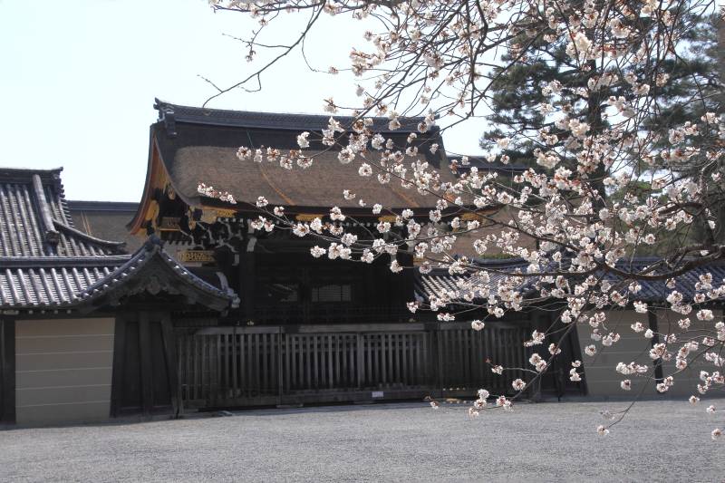 京都御所_005.jpg