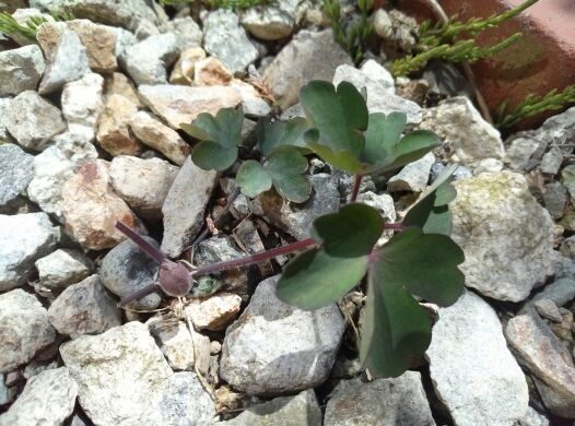 rblog-20140416194510-01.jpg