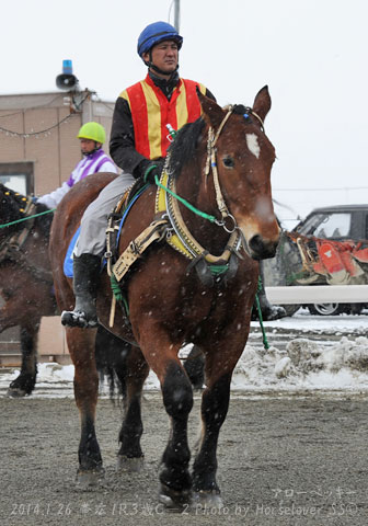 04ArrowBeckie012614Ob1R_02