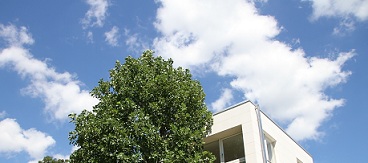 E7D_7072-2.jpg