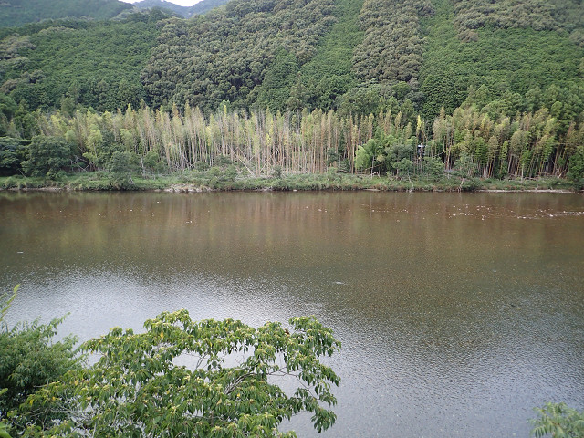 resize0019.jpg