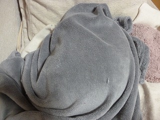 P1050393ss.jpg