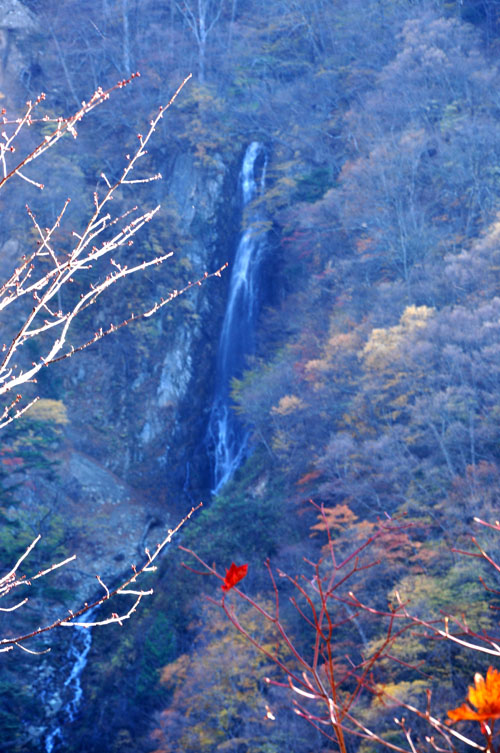 滝１