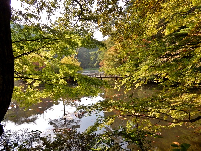 長谷池8.JPG