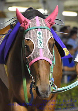 08TohokuBijin082014Kw10R_01