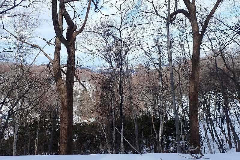 2月の山 三角山 札幌市 山歩きは好歩 スキップ して四季折々 登山日和のｆｏｏｔｍａｒｋ 楽天ブログ