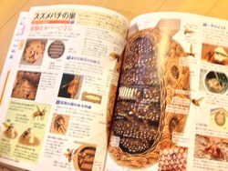 こども大百科　大図解　スズメバチの巣