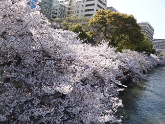 大川２.jpg