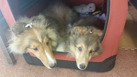 20150806_172243 (2).jpg