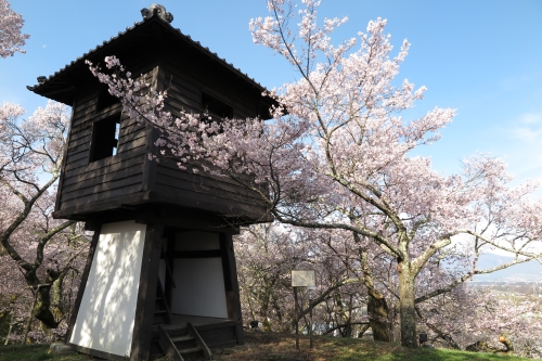 高遠城04