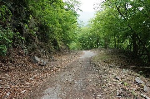 DSC07556.JPG