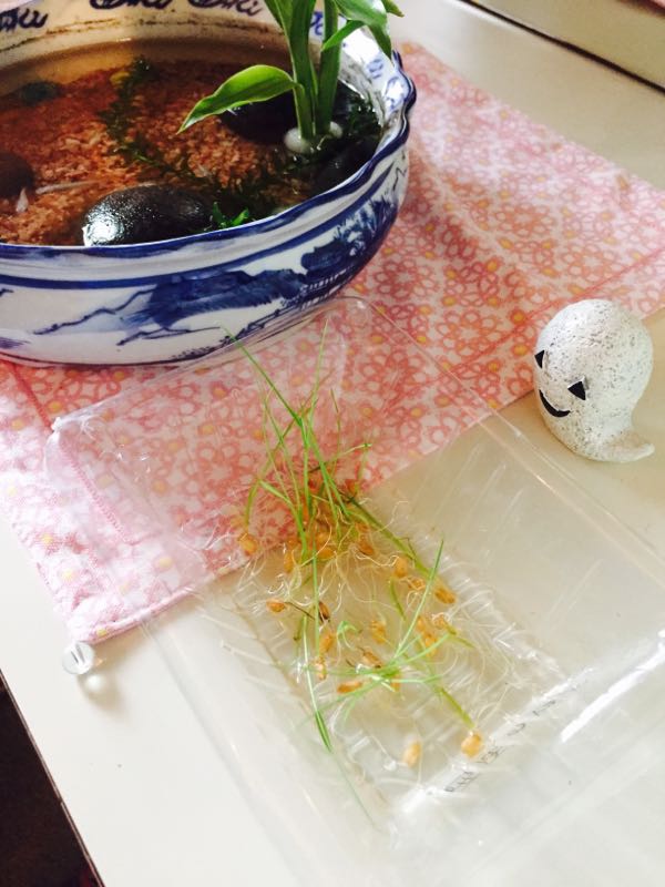 rblog-20150621192331-02.jpg