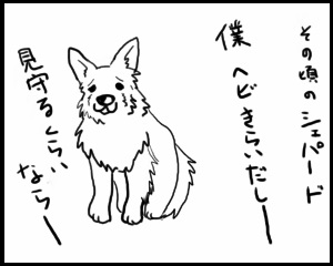 20150523d (300x240).jpg