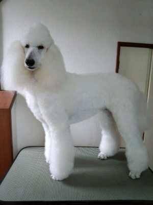 rblog-20131015171904-00.png