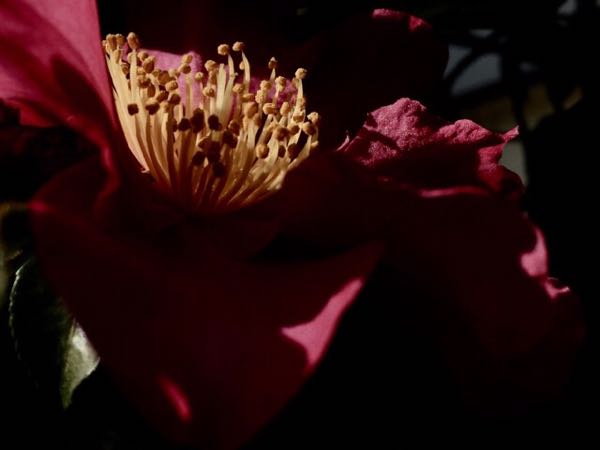 rblog-20160113165751-03.jpg