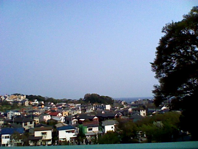 K3330031.JPG