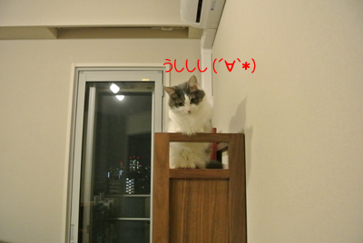 mumu1.jpg