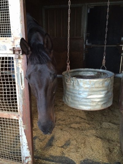 デルママツタロウ