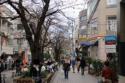 IMG_4390-16.jpg