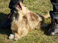 20121016150659[1].jpg