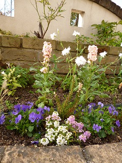 P1110769ss.jpg