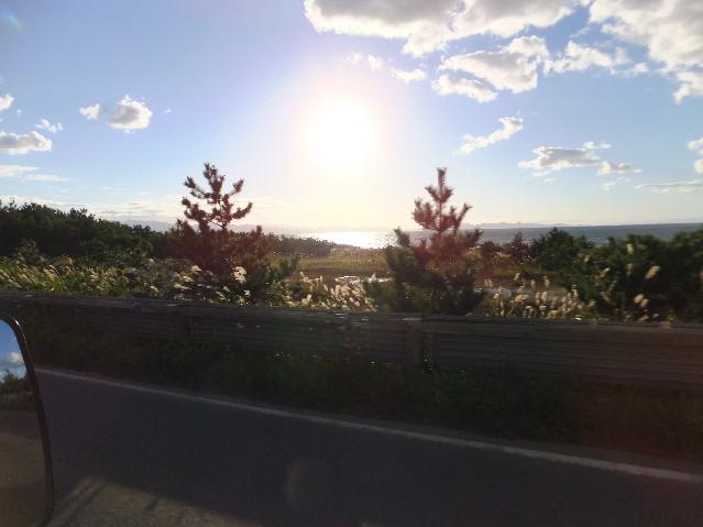 DSCF2379.jpg