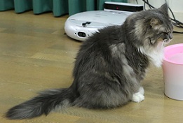 5DA_3442-2.jpg