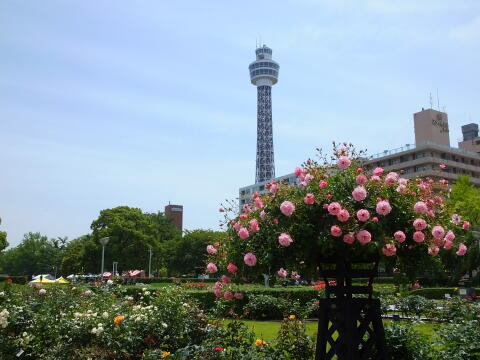 山下公園にて