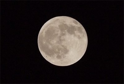 20140415_02.jpg