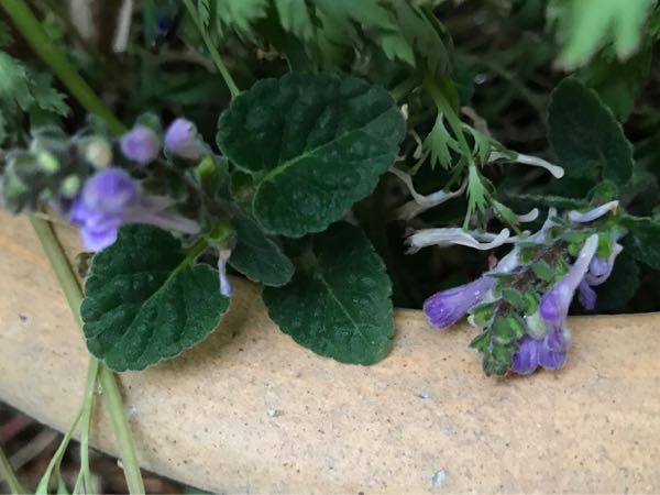 rblog-20190423182804-03.jpg