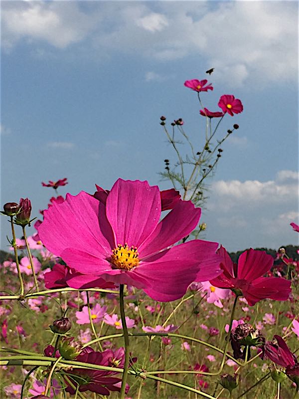 rblog-20151013183122-06.jpg
