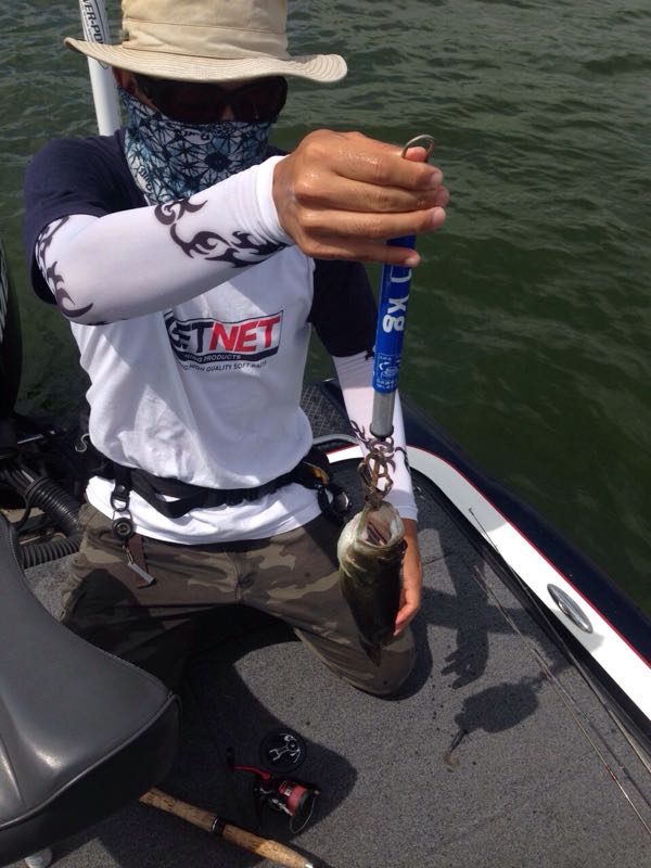 rblog-20150812011441-02.jpg