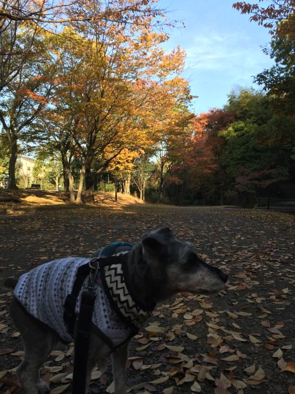 rblog-20161119011108-04.jpg