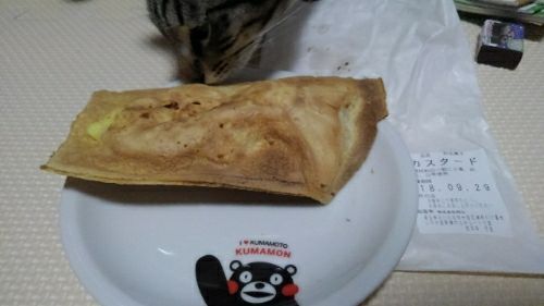 rblog-20180930181937-03.jpg