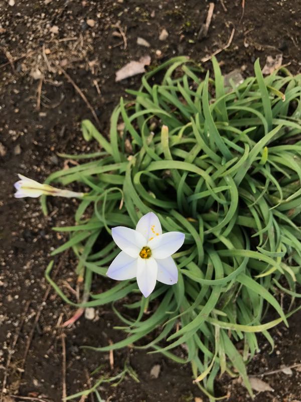 rblog-20180325184635-02.jpg