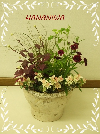 カルチャー寄せ植え１