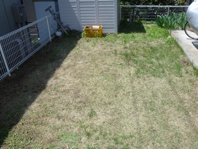 P1000353.JPG