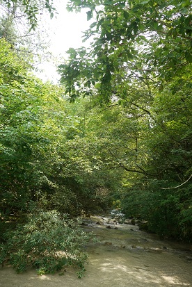 写真00166.jpg