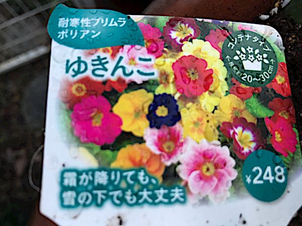 rblog-20161129162812-03.jpg