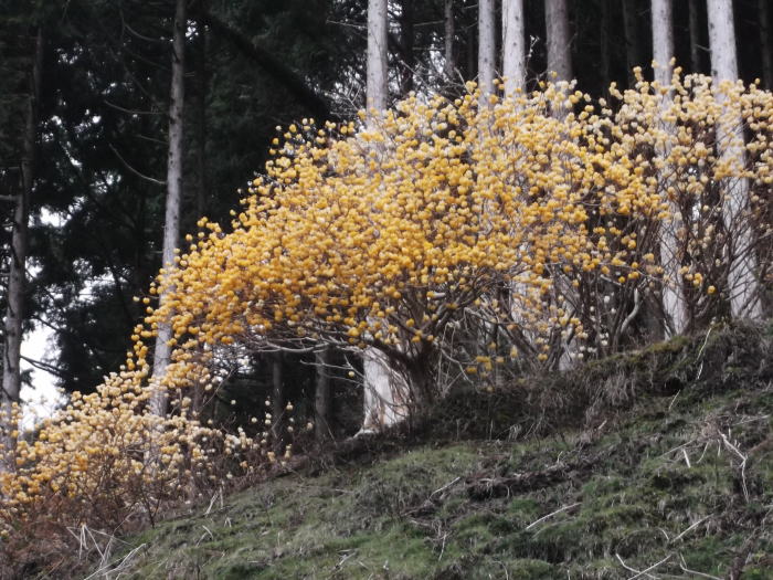 0404i.jpg