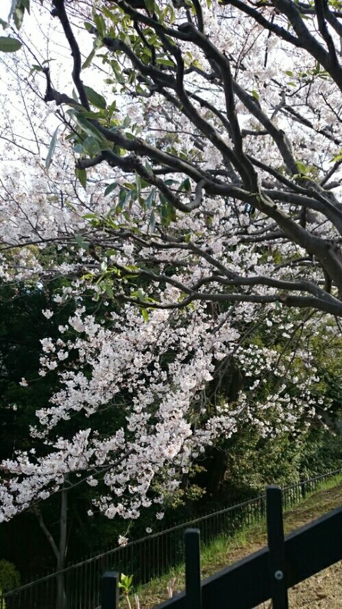 rblog-20190328212352-01.jpg