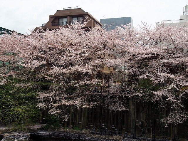P4080096.jpg